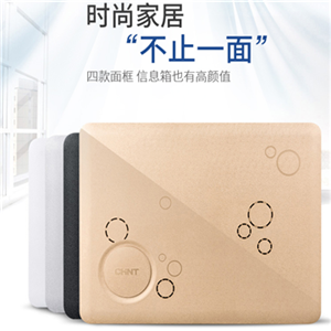 正泰強(qiáng)電箱 家裝配電箱16回路暗裝 NEX5-16回路