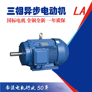六安江淮電機(jī)國家三級能效國標(biāo)三相異步電動機(jī)