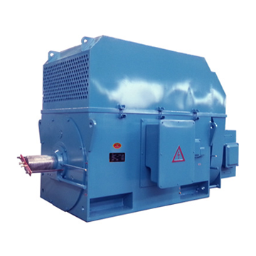 YR, YRKS, YRKK 系列(H710~800) 大型高壓三相異步電動機(jī)