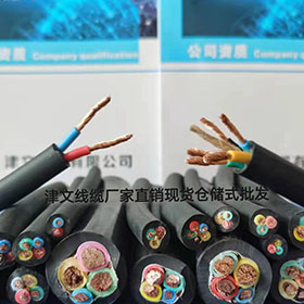 津文線(xiàn)纜橡套軟電纜2-10芯